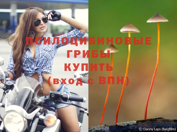 спайс Алзамай