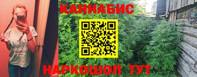 дурь Будённовск