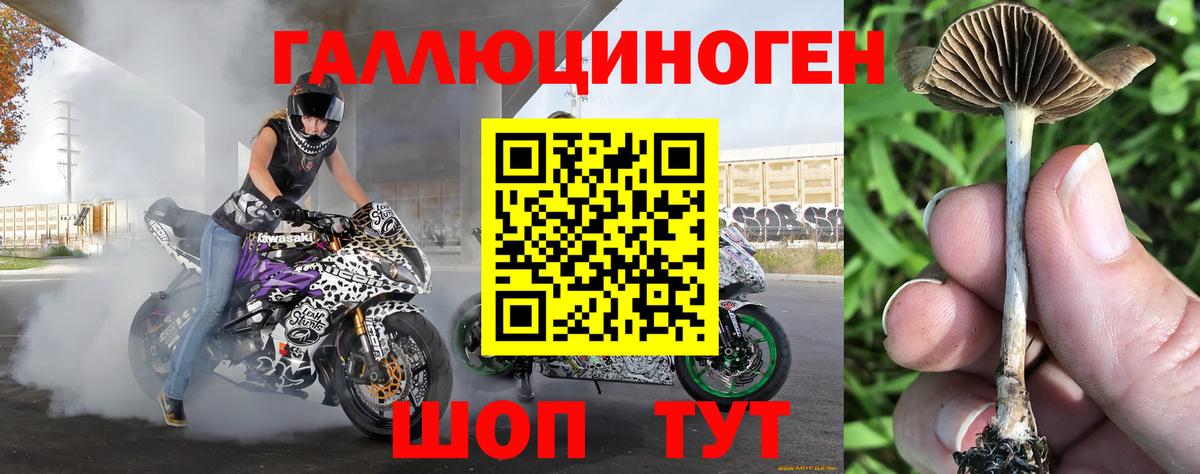 Псилоцибиновые грибы прущие грибы  Галлюциногенные грибы MAGIC MUSHROOMS  где купить наркотик  Рассказово  Вход с VPN 